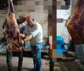 ” بيطرى المنوفية ” :...