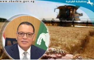 إستمرار توريد الذهب الأصفر لصوامع...