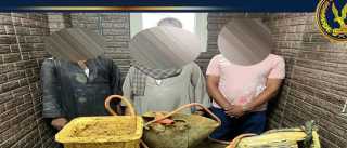 ضبط 4 أشخاص بالقاهرة حال...
