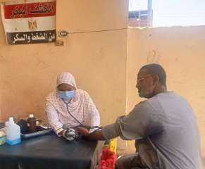 محافظ أسوان يتابع تنظيم القوافل...
