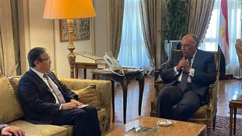 سامح شكري يستقبل نائب وزير خارجية كازخستان