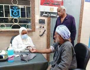 محافظ أسوان يتابع تنظيم القوافل...