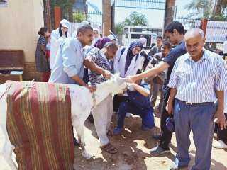 محافظ أسيوط: قافلة بيطرية مجانية...