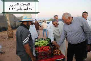 الزملوط: إنشاء ٤٠ صوبة زراعية...