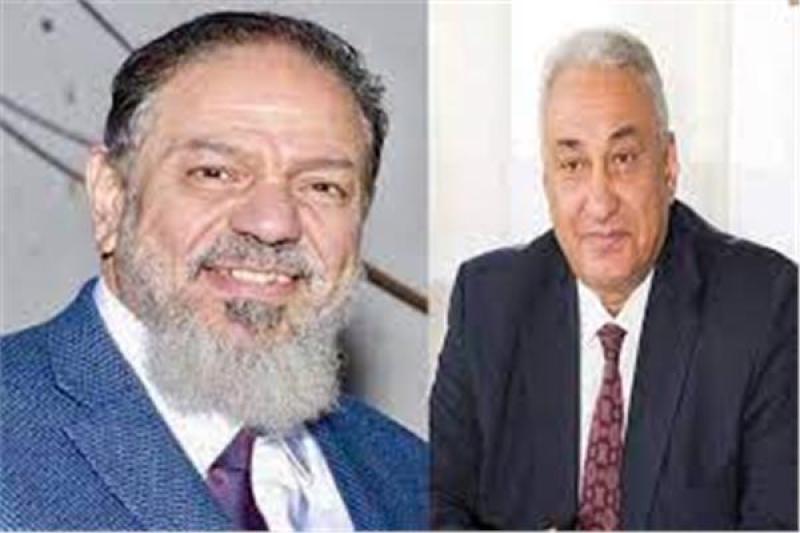 إحالة دعوى استبعاد عاشور والزيات للمفوضين