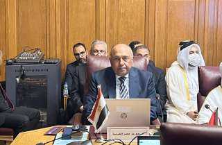 شكري يشارك فى اجتماعات اللجنة...