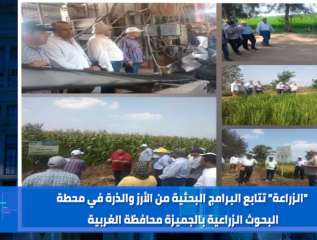 بالانفوجراف والفيديو| ”الزراعة في أسبوع”...