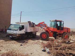 محافظ أسيوط: رفع 270 طن...
