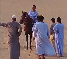 احتفال اهالي قريه  الدير...
