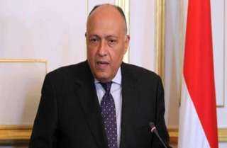 شكري: الرئاسة المصرية تولى أهمية...