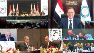 وزير البترول: مليار جنيه صافى...