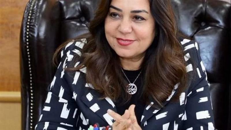 محافظ دمياط