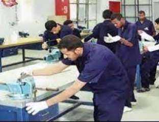 مافيهاش عاطل.. قرية مصرية بها...