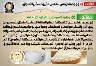 الحكومة تنفى وجود نقص في...