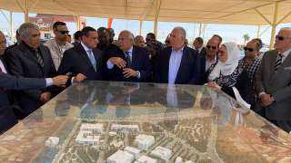 وزير التنمية المحلية ووزيرا التضامن...