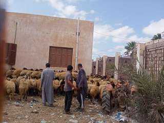 محافظ مطروح : 450 أسرة...