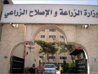 البحوث الزراعية يستعرض حصاد الإقليمي...