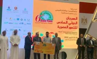 عبد الوهاب زايد: تنمية وتطوير...