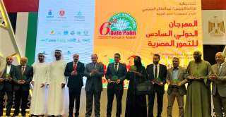 عبد الوهاب زايد: تنمية قطاع...