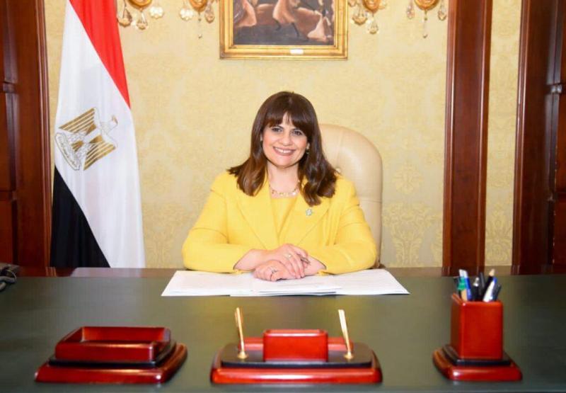 الهجرة: تشكيل هيئة خبراء لتنفيذ مقترح تأسيس شركة مساهمة للمصريين بالخارج