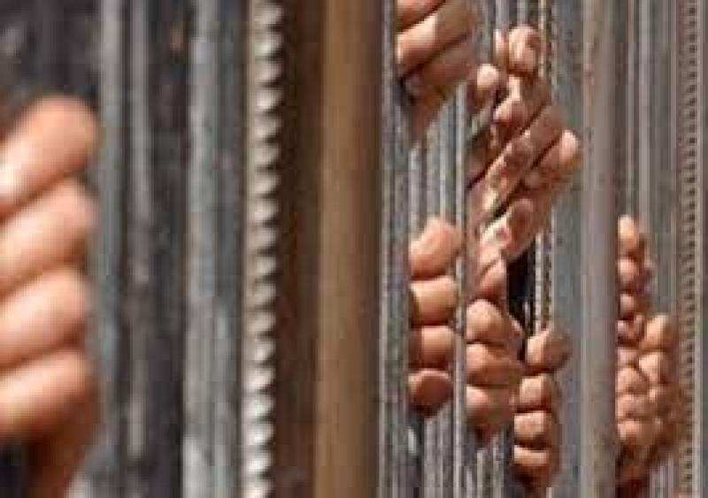المشدد 6 سنوات لطالب وعاملين لحيازتهم 90 قطعة حشيش فى الشرقية