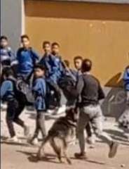ضبط شخصان بحوزة أحدهما كلب...