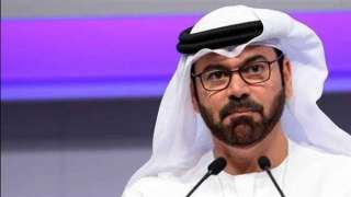 وزراء فى الحكومة الإماراتية يثمنون...