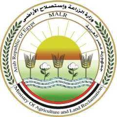 وزير الزراعة: تحصين أكثر من...