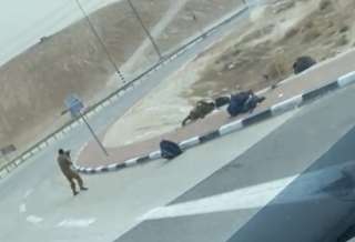 إعلام إسرائيلى يؤكد ارتفاع حصيلة...