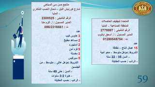 القوى العاملة :123 شركة خاصة...