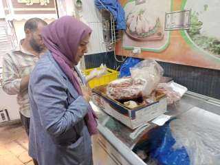 محافظ دمياط تتابع جهود الحملات...