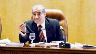 المصيلحى: السماح لمضارب القطاع الخاص...