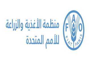 الأمم المتحدة تدعم المبادرة المصرية...