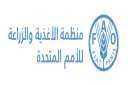الأمم المتحدة تدعم المبادرة المصرية...