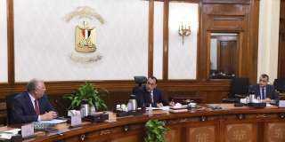 مدبولى يتابع مخططات تطوير حديقتى...