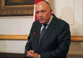 شكرى: يجب على كل الأطراف...
