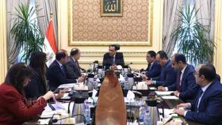 مدبولي يستعرض مع وزير المالية...