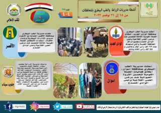 انفوجراف.. تعرف على أنشطة وجهود...