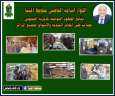 تحرير 15 محضر متنوع وضبط...