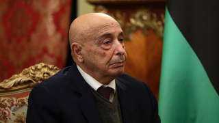 رئيس البرلمان الليبي: القاهرة ستشهد...