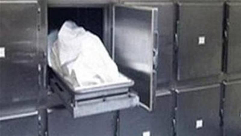 تفاصيل مصرع طالب دهسا بمنطقة المعادى