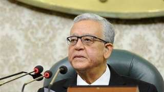 رئيس مجلس النواب: الموقف المصري...