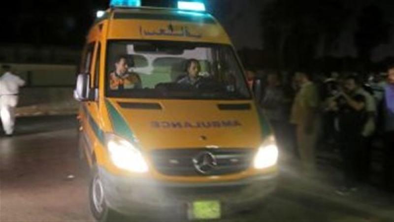 إصابة 6 أشخاص صدمهم ميني باص في عزبة النخل