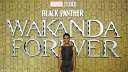 ”Black Panther : Wakanda Forever”...