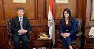 رانيا المشاط تبحث مع السفير...