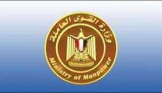 ”القوى العاملة”: تحويل 10 منح...