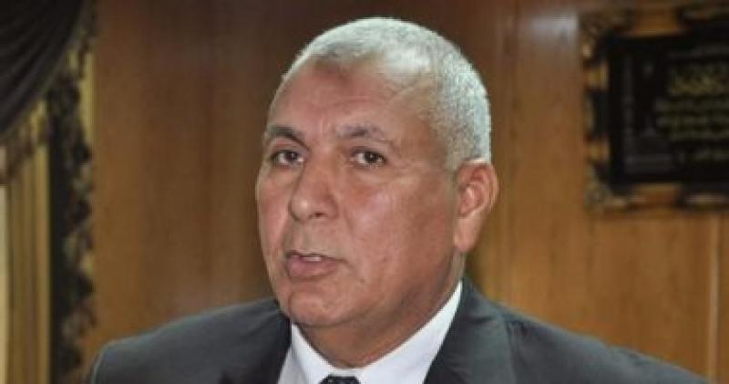 محافظ الوادى الجديد
