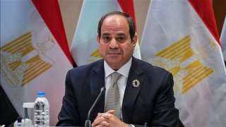 السيسي لنظيره الصيني: نتطلع للعمل...