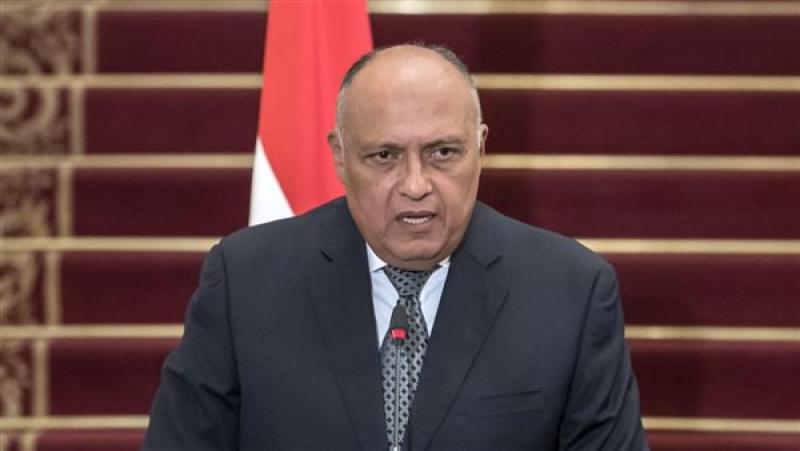 سامح شكرى يلتقىي وزير خارجية مقدونيا الشمالية