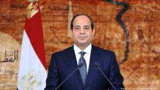 السيسي يكلف بترسيخ أسس الديمقراطية...